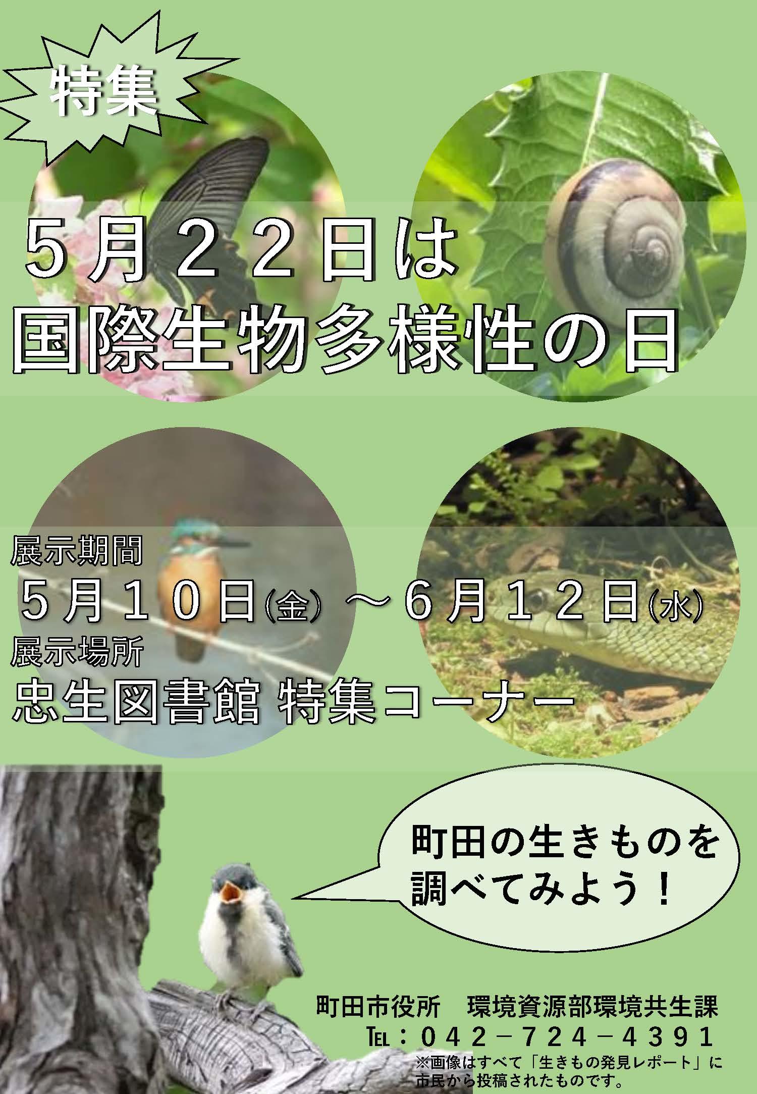 画像：忠生図書館ポスター